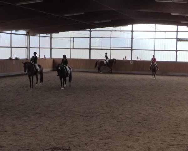 Reitturnier Herbern 2017