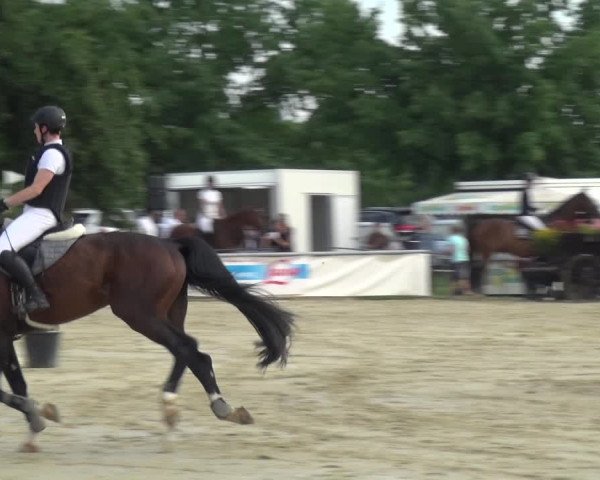 Reitturnier Neuss-Allerheiligen 2017
