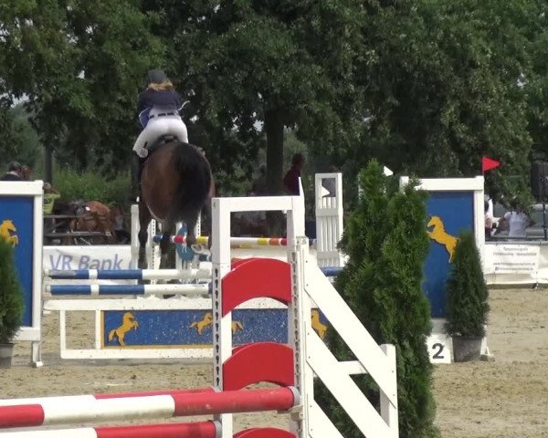 Reitturnier Neuss-Allerheiligen 2017