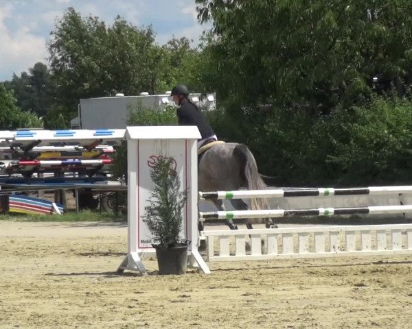 Reitturnier Neuss-Allerheiligen 2017