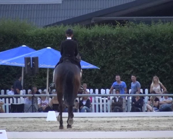 Reitturnier Neuss-Allerheiligen 2017