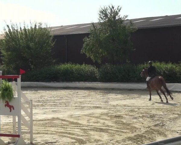 Reitturnier Neuss-Allerheiligen 2017