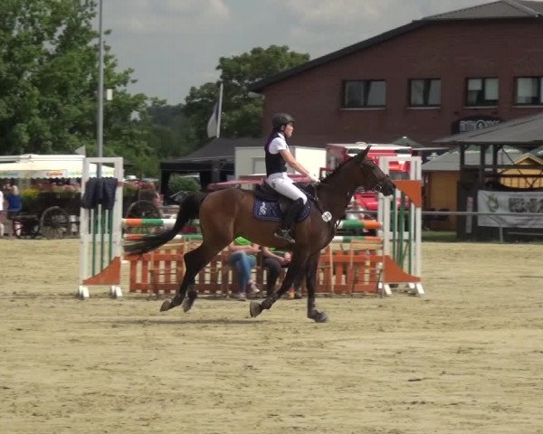 Reitturnier Neuss-Allerheiligen 2017