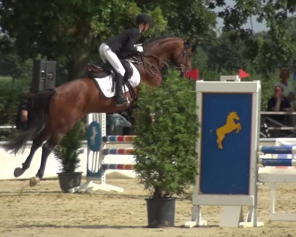 Reitturnier Neuss-Allerheiligen 2017