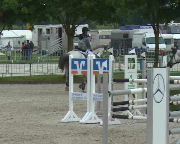 Reitturnier Rot am See- Musdorf 2017