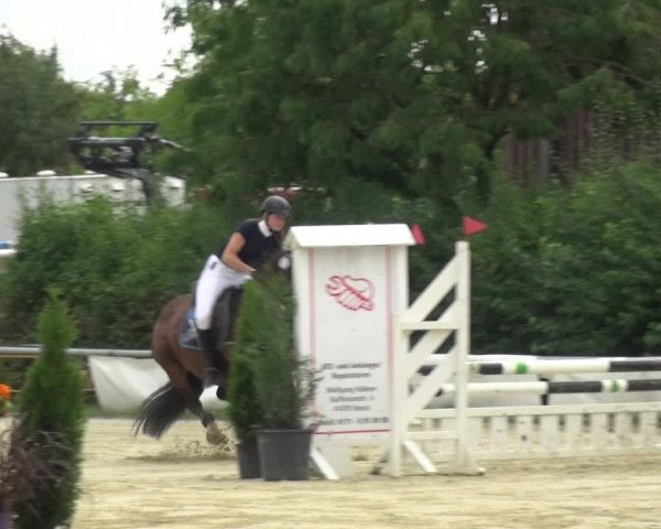 Reitturnier Neuss-Allerheiligen 2017