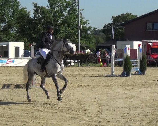 Reitturnier Neuss-Allerheiligen 2017