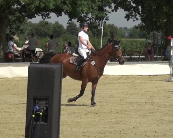 Reitturnier Neuss-Allerheiligen 2017