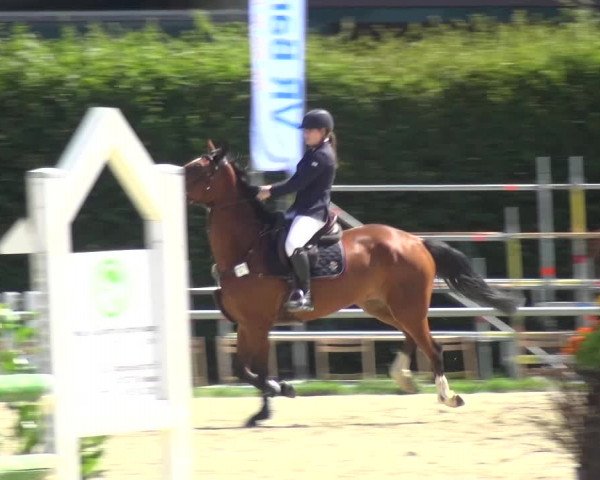 Reitturnier Neuss-Allerheiligen 2017