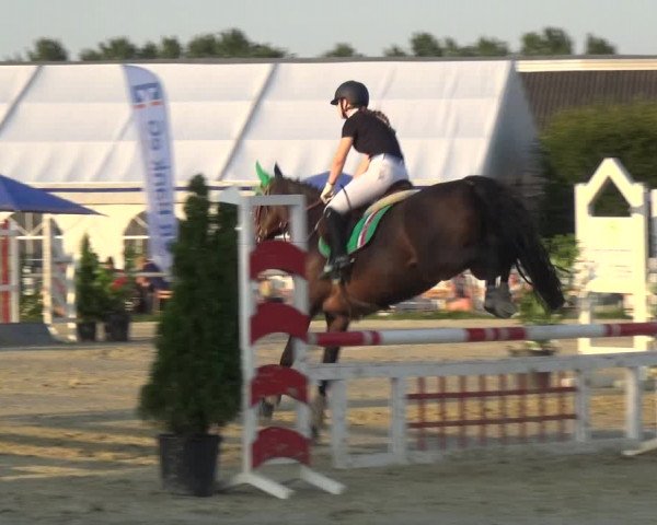 Reitturnier Neuss-Allerheiligen 2017