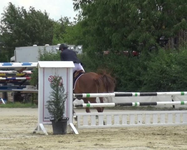 Reitturnier Neuss-Allerheiligen 2017
