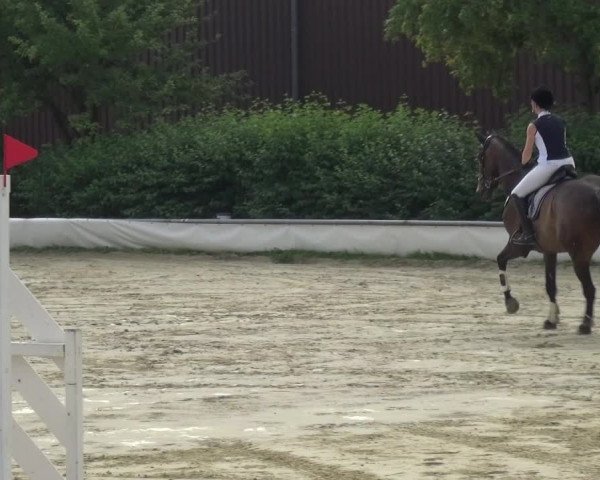 Reitturnier Neuss-Allerheiligen 2017