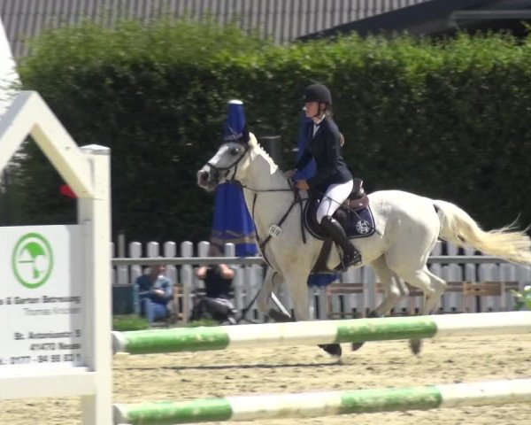 Reitturnier Neuss-Allerheiligen 2017