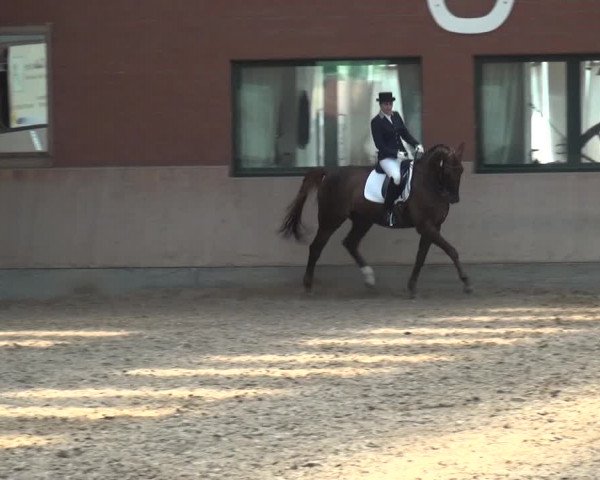 Reitturnier Neuss-Allerheiligen 2017