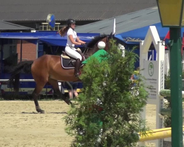 Reitturnier Neuss-Allerheiligen 2017