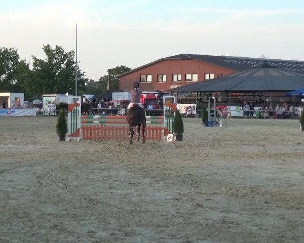 Reitturnier Neuss-Allerheiligen 2017