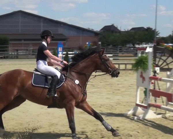 Reitturnier Neuss-Allerheiligen 2017