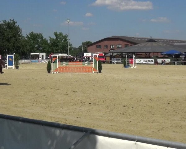 Reitturnier Neuss-Allerheiligen 2017