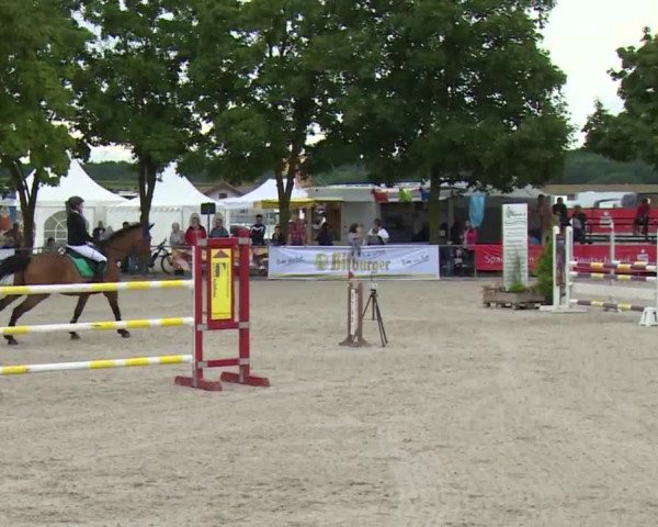 Reitturnier Rot am See- Musdorf 2017