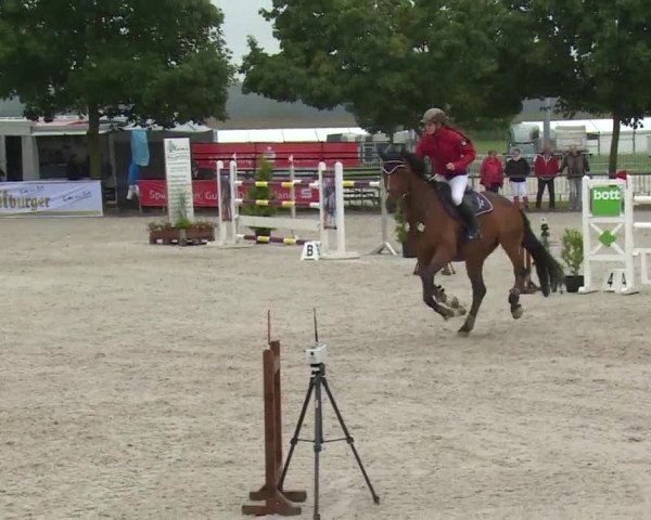 Reitturnier Rot am See- Musdorf 2017