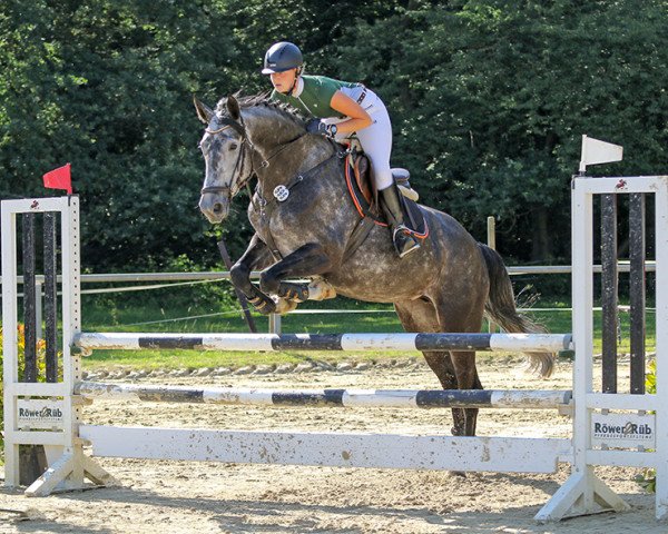 broodmare Fuer Jan (Hanoverian, 2011, from For Edition)