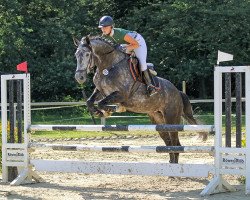 broodmare Fuer Jan (Hanoverian, 2011, from For Edition)