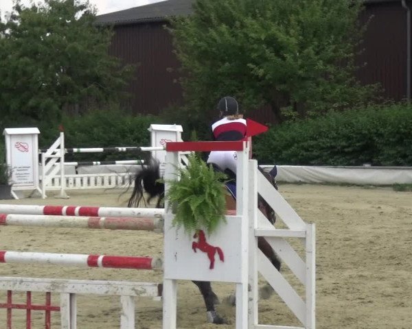 Reitturnier Neuss-Allerheiligen 2017