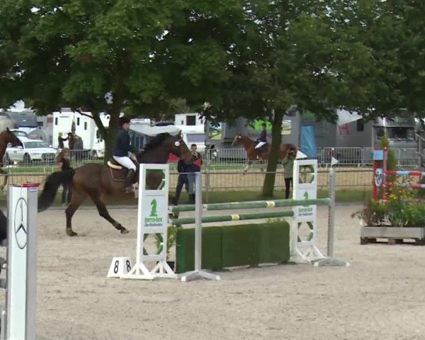 Reitturnier Rot am See- Musdorf 2017