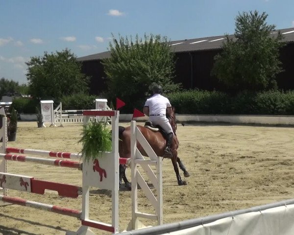Reitturnier Neuss-Allerheiligen 2017