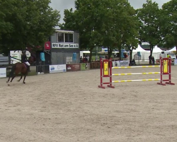 Reitturnier Rot am See- Musdorf 2017