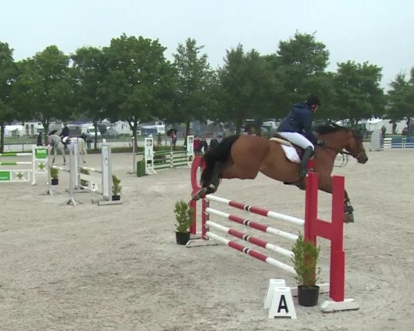 Reitturnier Rot am See- Musdorf 2017