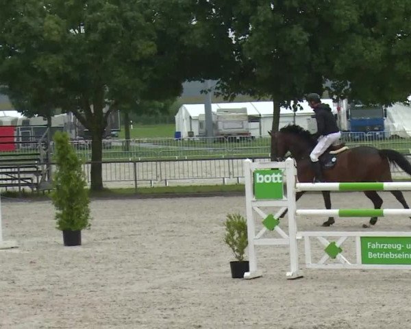 Reitturnier Rot am See- Musdorf 2017