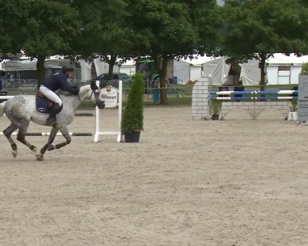 Reitturnier Rot am See- Musdorf 2017