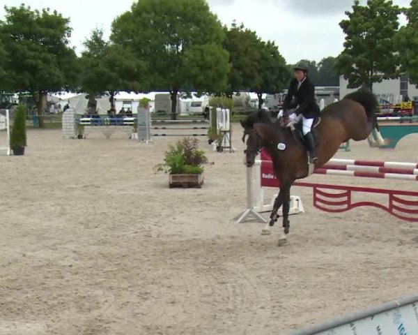Reitturnier Rot am See- Musdorf 2017
