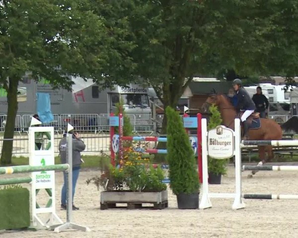 Reitturnier Rot am See- Musdorf 2017