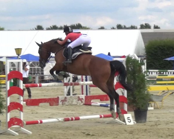 Reitturnier Neuss-Allerheiligen 2017