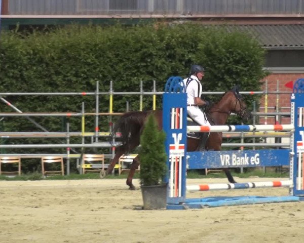 Reitturnier Neuss-Allerheiligen 2017