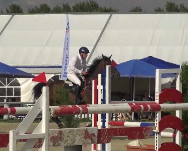 Reitturnier Neuss-Allerheiligen 2017