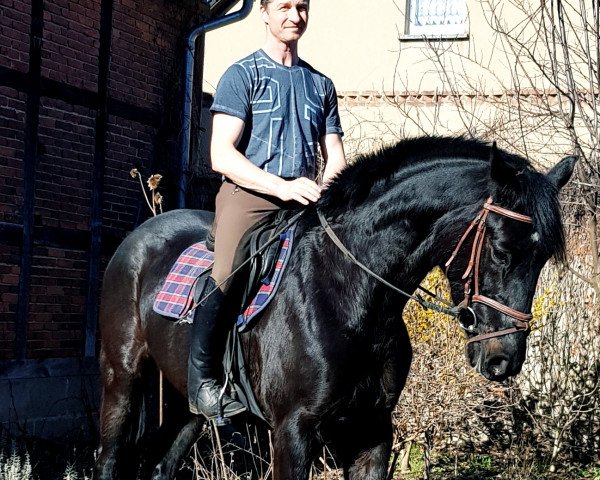 jumper Voltera (Hanoverian, 2015, from van Gogh)