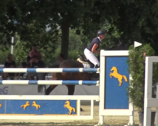 Reitturnier Neuss-Allerheiligen 2017