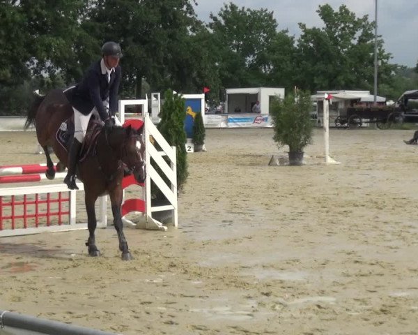 Reitturnier Neuss-Allerheiligen 2017