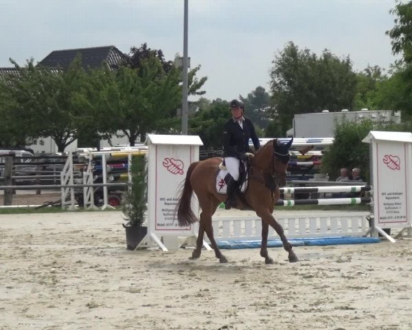 Reitturnier Neuss-Allerheiligen 2017