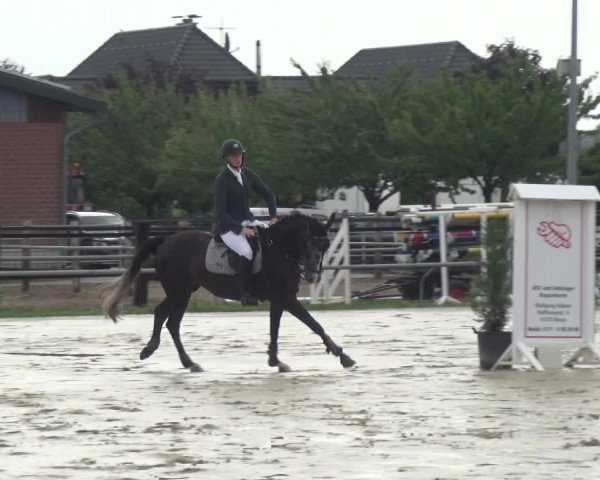 Reitturnier Neuss-Allerheiligen 2017