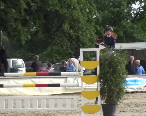 Reitturnier Neuss-Allerheiligen 2017