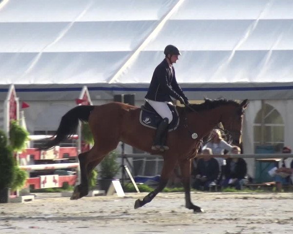 Reitturnier Neuss-Allerheiligen 2017