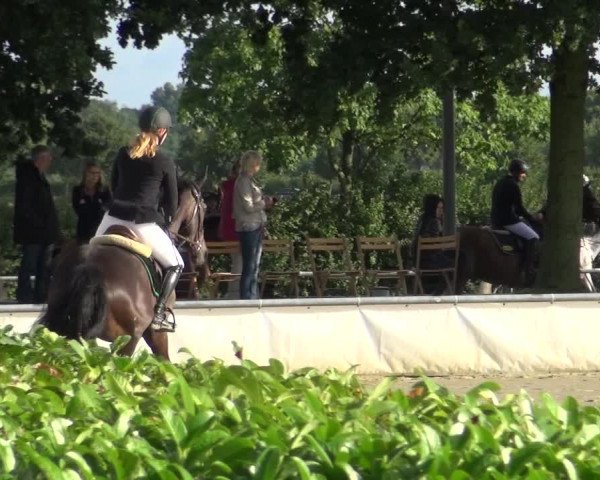 Reitturnier Neuss-Allerheiligen 2017