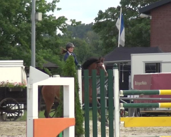 Reitturnier Neuss-Allerheiligen 2017
