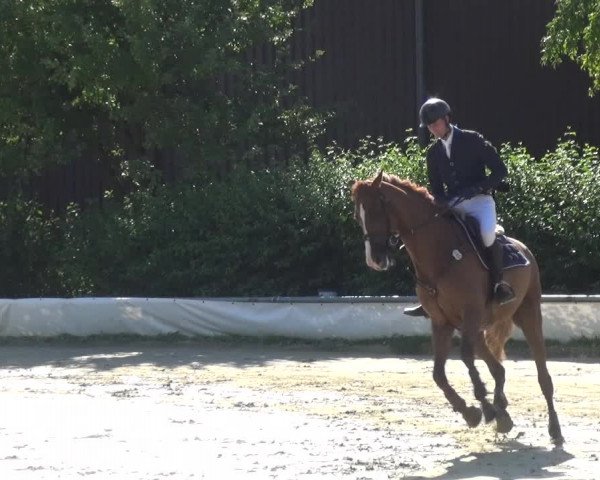 Reitturnier Neuss-Allerheiligen 2017