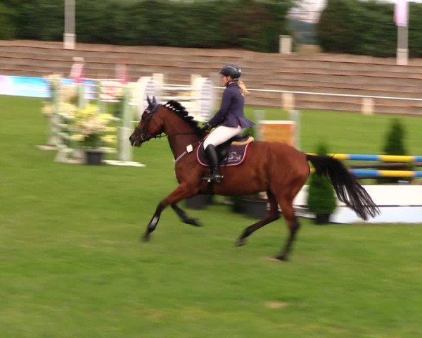 Reitturnier Baschütz bei Bautzen 2017