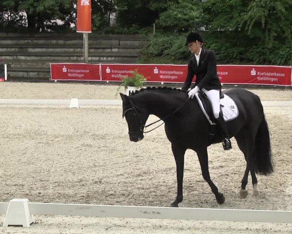Reitturnier Waiblingen 2017